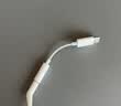 Apple/苹果 有线耳机转接头3.5毫米转USB-C/Typc-C接口 适用USB-C接口的iPhone/iPad 实拍图