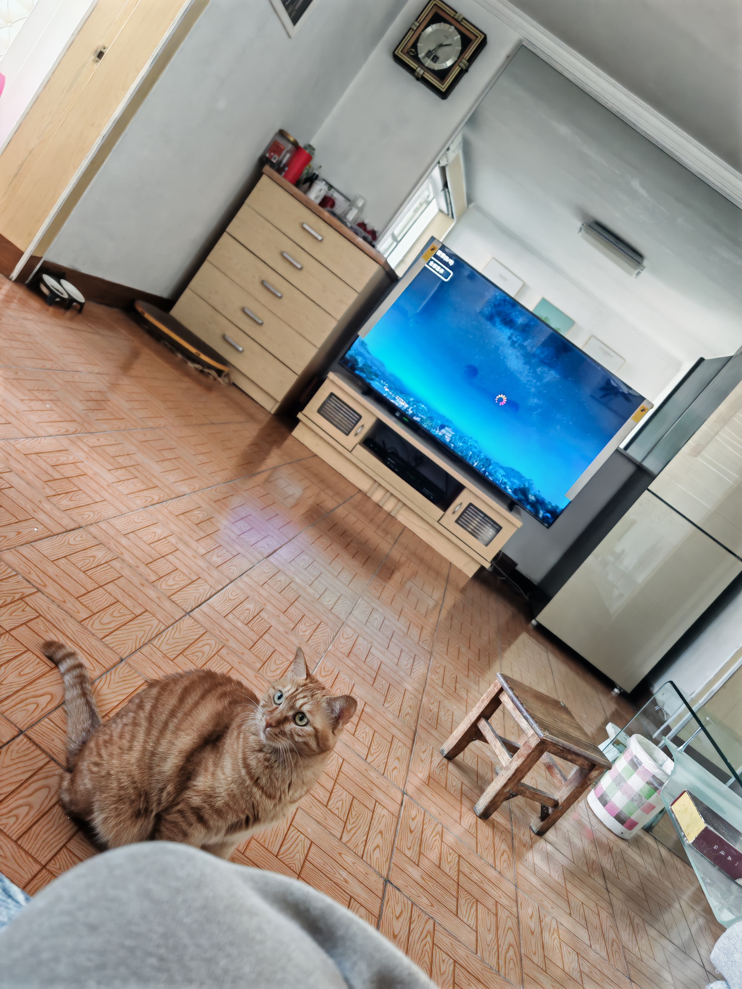 Vidda 海信电视65英寸 R65 144Hz高刷 智慧屏 一级能效 2026液晶家用游戏平板以旧换新电视机65V1Q-R 实拍图