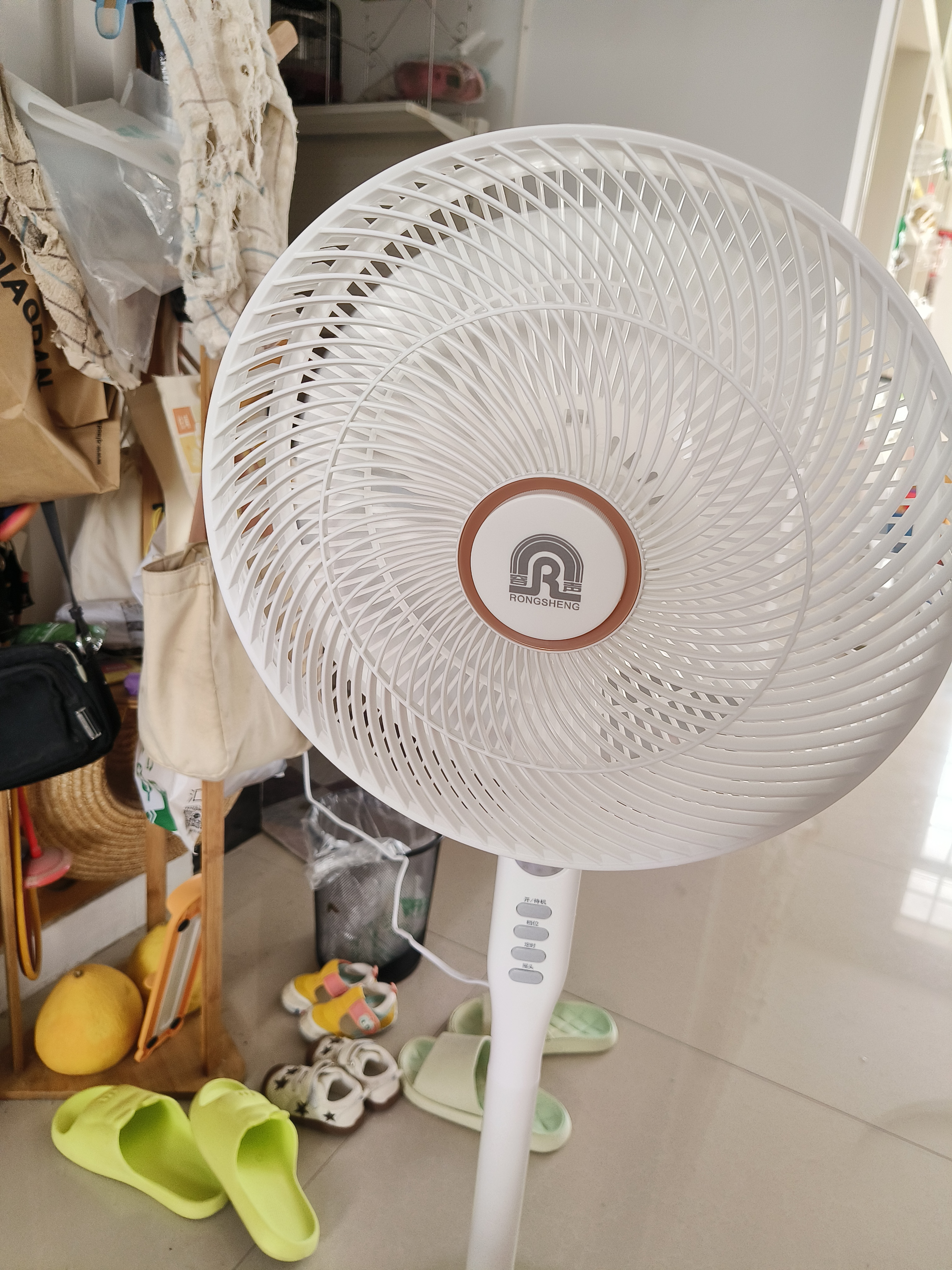 容声电风扇/落地扇/家用定时遥控风扇七叶大风力立式节能摇头电扇办公轻音卧室循环风扇  RS-FX2402ARH 实拍图