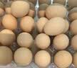 大码鲜鸡蛋1.8kg 实拍图