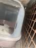 福丸豆腐膨润土混合猫砂除臭低尘不易粘底可冲厕所云顶茶香猫沙 云顶茶香混合猫砂2.5kg*4 实拍图