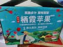 京地达山东烟台栖霞红富士苹果85级净重9斤大果 烟台苹果水果源头直发 实拍图