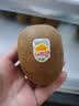 佳沛（zespri）金奇异果25-27粒原箱特大果124-146g猕猴桃水果礼盒 实拍图