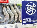 鲜京采 厄瓜多尔白虾 净重3斤/盒 特大号20-30规格   30-45只/盒 实拍图