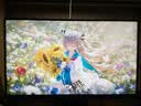 SANC盛色27英寸2K275Hz三模FHD360Hz/HD500Hz/FastIPS硬件低蓝光旋转升降电竞电脑显示器屏幕G73Turbo 实拍图