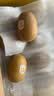 佳沛（zespri）新西兰金奇异果12粒特大果124-146g猕猴桃水果礼盒 实拍图
