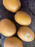 佳沛（zespri）新西兰金奇异果猕猴桃 5粒装 单果约88-103g 水果源头直发 实拍图