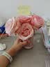 Fan Beauty Diary海葡萄面膜50片【10盒装 】补水保湿舒缓修护 生日礼物送女生 实拍图