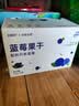 怡颗果×悠果乐园吉林蓝莓干无添加不加糖油果干600g礼盒装儿童健康零食 实拍图