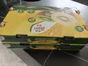 佳沛（zespri）新西兰金奇异果22粒巨大原箱146-175g猕猴桃水果礼盒 实拍图