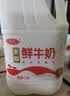 三元全脂鲜牛奶1.8L 大桶家庭装 巴氏杀菌 鲜奶牛奶 新老装交替发 实拍图