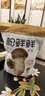 松鲜鲜 松茸调味料1kg【减钠29% 0添加】可代替盐鸡精味精煲汤炒菜调味 实拍图