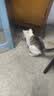 凯锐思猫粮鲜肉幼猫猫粮1-12月奶糕助力免疫鲜肉冻干双拼幼猫粮 【助力成长】4-12月鲜肉冻干双拼4斤 实拍图