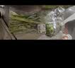 七鲜24小时菜心 300g 实拍图