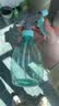 喷壶浇花浇水喷雾器气压式喷水壶家用园艺养花500ml 南瓜喷壶透蓝【1个装】 实拍图