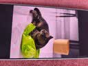 OPPO Find X10 16GB+512GB 冰蓝 哈苏超清原相机 双2亿镜头群 8000mAh 长续航 5G旗舰拍照手机新机 AI 实拍图