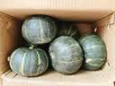 京鲜生内蒙沙漠贝贝南瓜 净5斤(粉糯瓜) 中果300g+辅食 源头直发 实拍图
