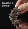鲜京采大连即食海参 1斤 10-16只 固形物80%【京东自有品牌】海鲜生鲜 实拍图