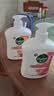 滴露（Dettol）健康抑菌洗手液滋润倍护500g 消毒抑菌99.99% 儿童适用不含酒精 实拍图