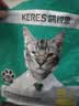 凯锐思鱼油猫条鲜肉猫零食爆珠磷虾油猫条美毛靓毛100支 实拍图