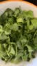 北蔬荠菜种子苗农家大叶四季播种野菜菜种籽 农家荠菜种子10g约5万粒 实拍图