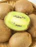 佳沛（zespri）新西兰金奇异果10粒巨大果146-175g猕猴桃水果礼盒 实拍图