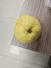 京鲜生 精选砀山梨老树酥梨 5斤装 单果重250g 新鲜水果 实拍图