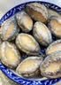 江船长冷冻大鲍鱼 净重400g 10粒袋装 火锅食材  贝类生鲜 实拍图