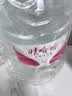 娃哈哈纯净水12L*1桶 大桶水一次性桶装水 送货上门哇哈哈饮用水 实拍图