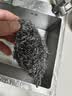 妙洁 净缝钢丝球 12只装 紧密钢丝圈易贴表面 厨房灶台洗碗去污耐用 实拍图