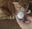 维克（Virbac）牙膏猫咪狗狗牙膏口腔清洁清新口气牙结石宠物洁牙可食用复合酶小绿管70g（鸡肉味） 实拍图