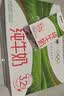 蒙牛全脂纯牛奶250ml*16盒 3.2g蛋白 送礼礼盒 实拍图