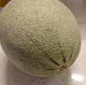 北纬23°西州蜜瓜1粒约1.3kg 实拍图