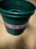 花盆绿植盆栽加厚塑料简约多肉小盆阳台客厅月季玫瑰大号家用花盆 高款2加仑(口径22cm)2个盆 配套托盘 实拍图