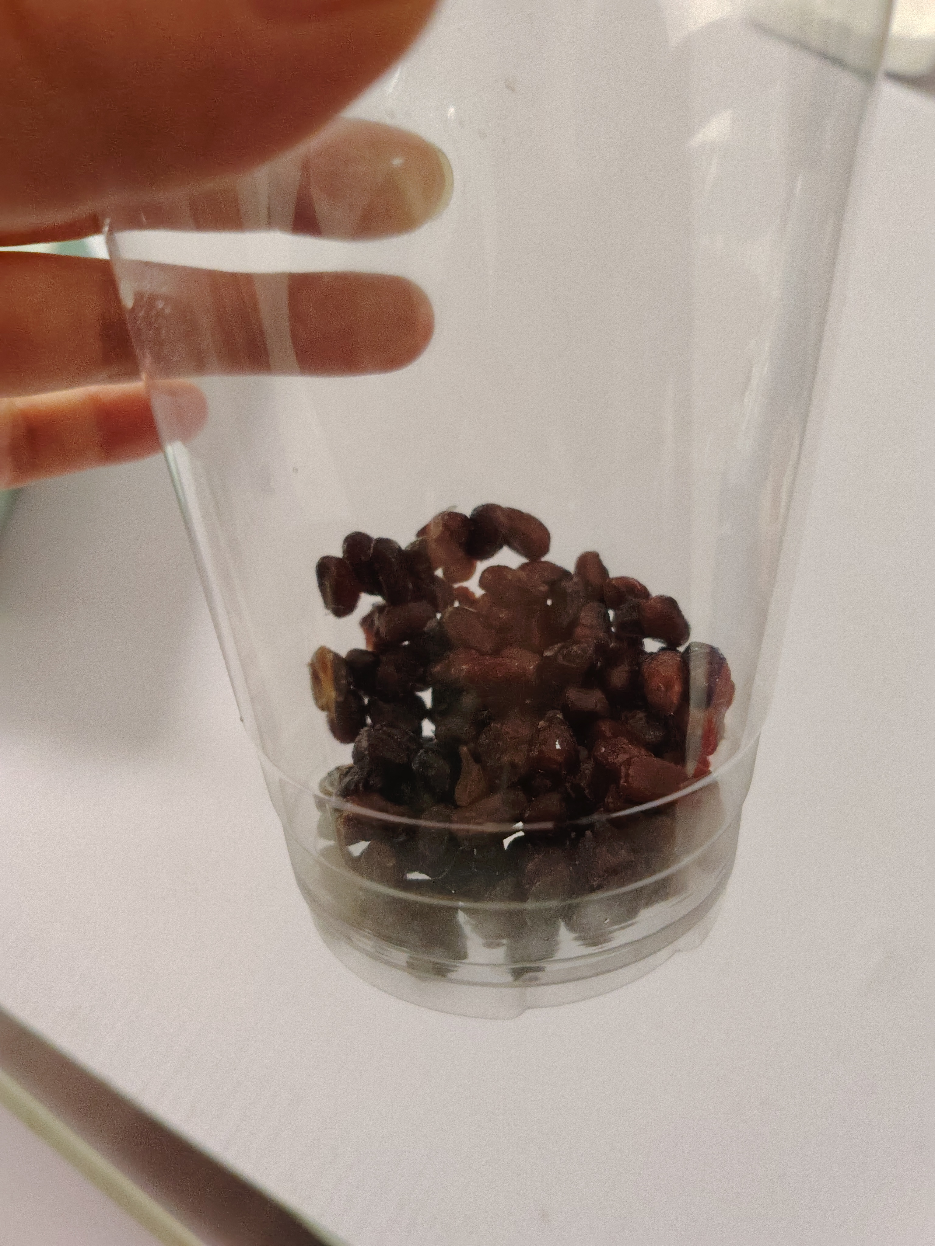 展艺糖纳红小豆500g 蛋黄酥汤圆元宵八宝饭奶茶即食蜜豆馅料烘焙原料 实拍图