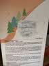 海氏海诺一次性儿童医用外科口罩6-12岁灭菌级独立包装口罩透气开学防尘50 实拍图
