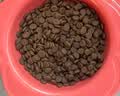 愛肯拿（ACANA）狗粮 通用成犬幼犬 经典鸡肉草原天然犬粮11.4kg效期27/6 实拍图