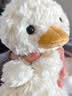 Jellycat甜美小鸭可爱公仔动物毛绒玩偶小玩偶陪伴娃娃送礼生日新婚礼物 甜美小鸭 One Size 实拍图