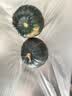 京鲜生 山东贝贝南瓜 净重3斤 单果300g+粉糯蔬菜辅食源头直发 实拍图