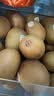 佳沛（zespri）新西兰金奇异果22粒巨大原箱146-175g猕猴桃水果礼盒 实拍图