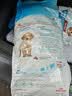 皇家狗粮 幼犬狗粮 幼犬奶糕 宠物中型犬MEJ32全价犬粮2-12月15KG 实拍图