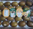 佳沛（zespri）新西兰金奇异果30-33粒原箱103-124g猕猴桃水果礼盒 实拍图