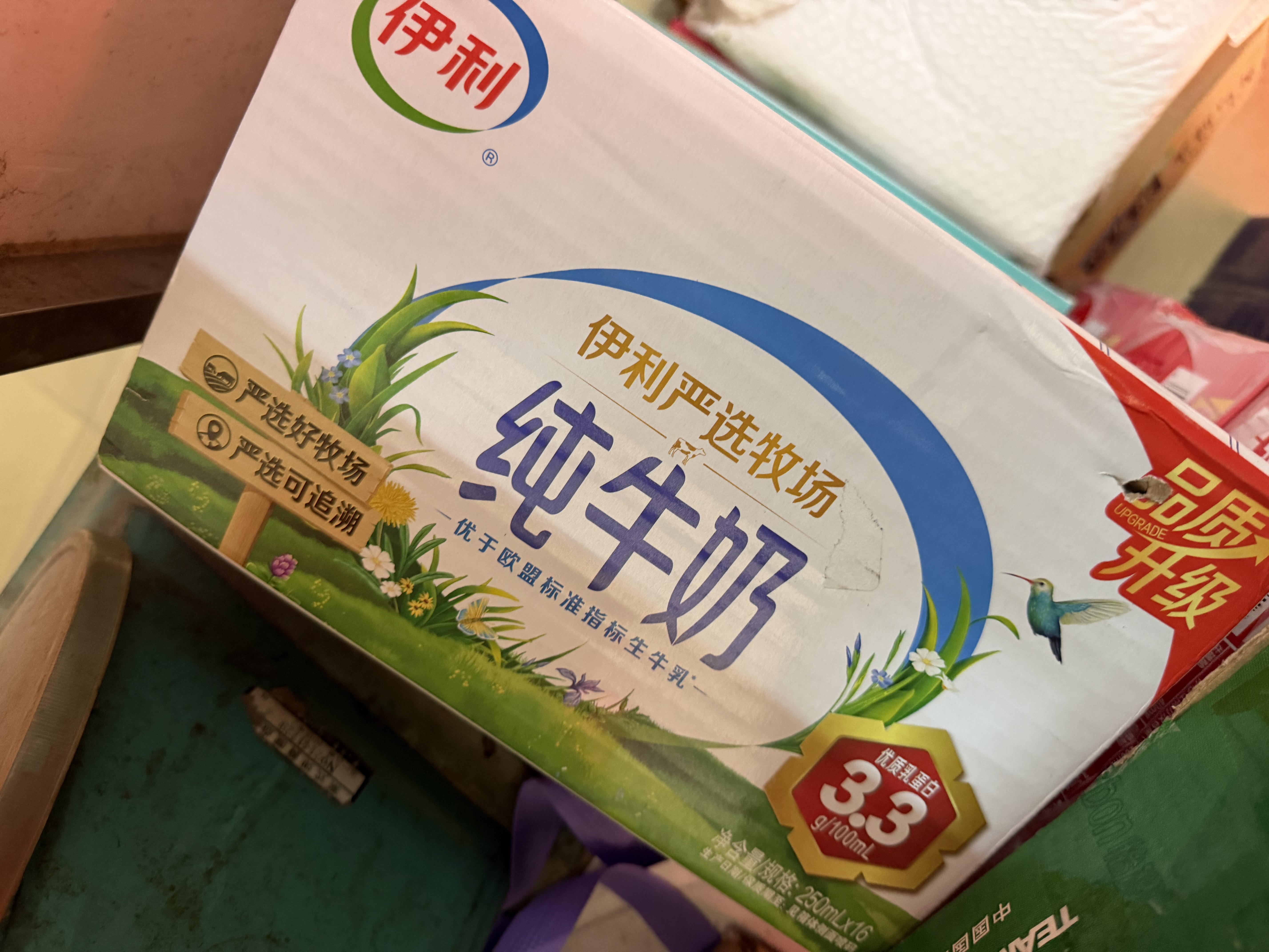 伊利纯牛奶整箱250ml*16盒 全脂牛奶 定期购 实拍图