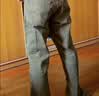 Levi's李维斯男士565宽松直筒工装美式复古简约通勤时尚休闲裤 军绿色 32 (32) 实拍图