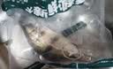 鲜活桂鱼400-500g 实拍图