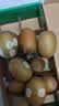佳沛（zespri）新西兰金奇异果10粒巨大果146-175g猕猴桃水果礼盒 实拍图