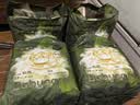 巴布豆（BOBDOG）菠萝裤拉拉裤4XL60片(18-21kg)弱酸护臀婴儿尿不湿透气 实拍图