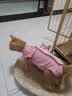 欢宠网宠物猫咪绝育服猫手术服母猫衣服断奶术后恢复幼小猫猫透气防舔衣 实拍图