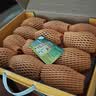 佳沛（zespri）新西兰金奇异果12粒特大果124-146g猕猴桃水果礼盒 实拍图