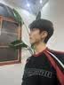 QMXD黑色无耳洞耳夹男士潮钛钢嘻哈高级女单只耳钉男无耳洞男生假耳钉 黑色+银色【各一个】 实拍图